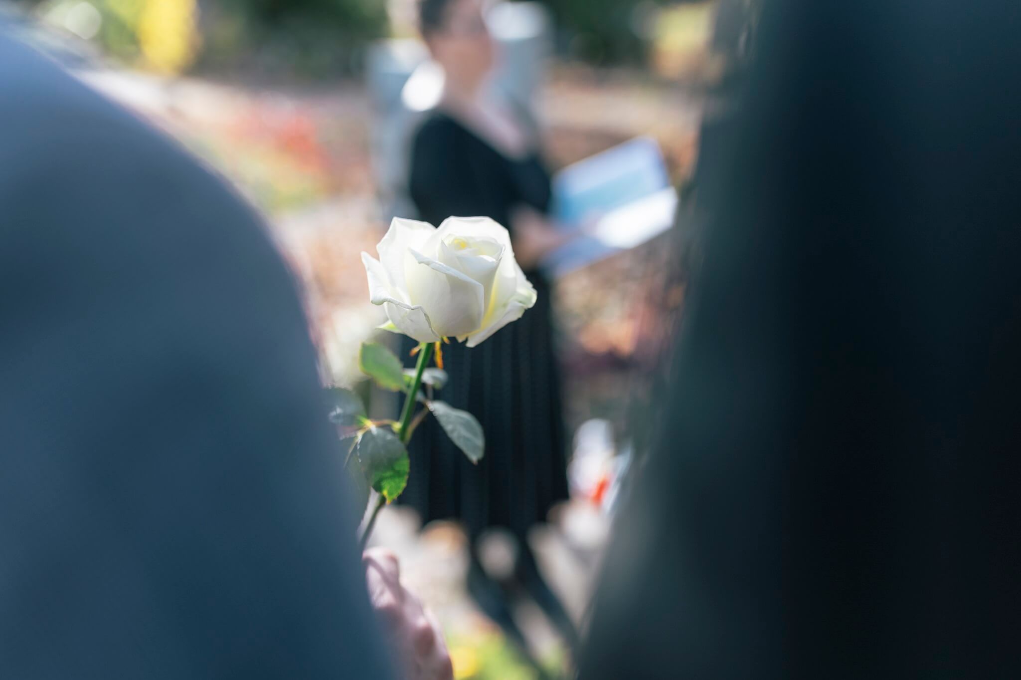Trauergäste halten eine weiße Rose